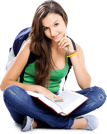 Online Chinese Course: Learn Chinese Online at Viplovechs without Time Consuming
