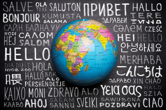 Online Chinese Course: Achieve Futuristic Goals with Chinese Tutoring at Viplovechs