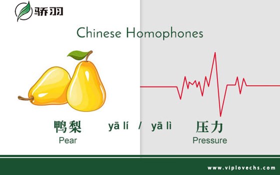 Online Chinese Course: Achieve Futuristic Goals with Chinese Tutoring at Viplovechs